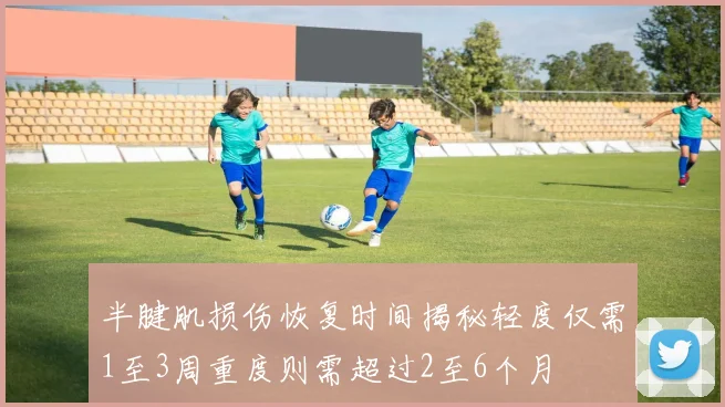 半腱肌损伤恢复时间揭秘轻度仅需1至3周重度则需超过2至6个月
